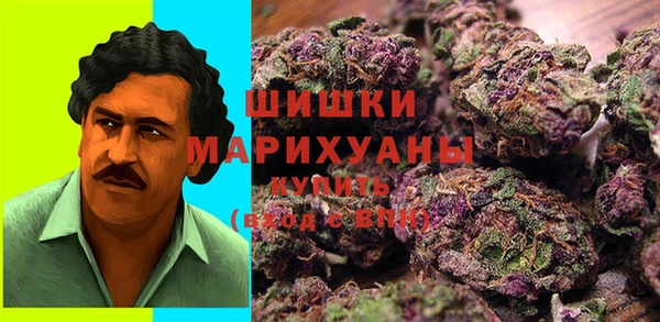 PSILOCYBIN Арсеньев