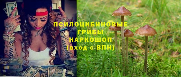 трава Армянск